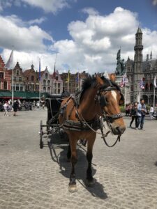 Photo Tour of Bruges Belgium - Horse Buggy