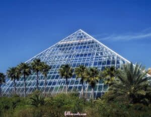 Moody Gardens Galveston