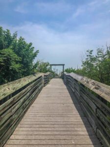 This image features an image of a wooden boardwalk with green trees on either side and the beach and a blue sky in the distance ahead.