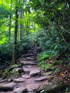 Blue Ridge Parkway Photo Spots - Rough Ridge Overlook - Photo by Lisa Soots