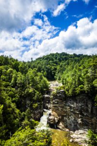 This image features a waterfall that is high in thee mountains with green forest all around it.