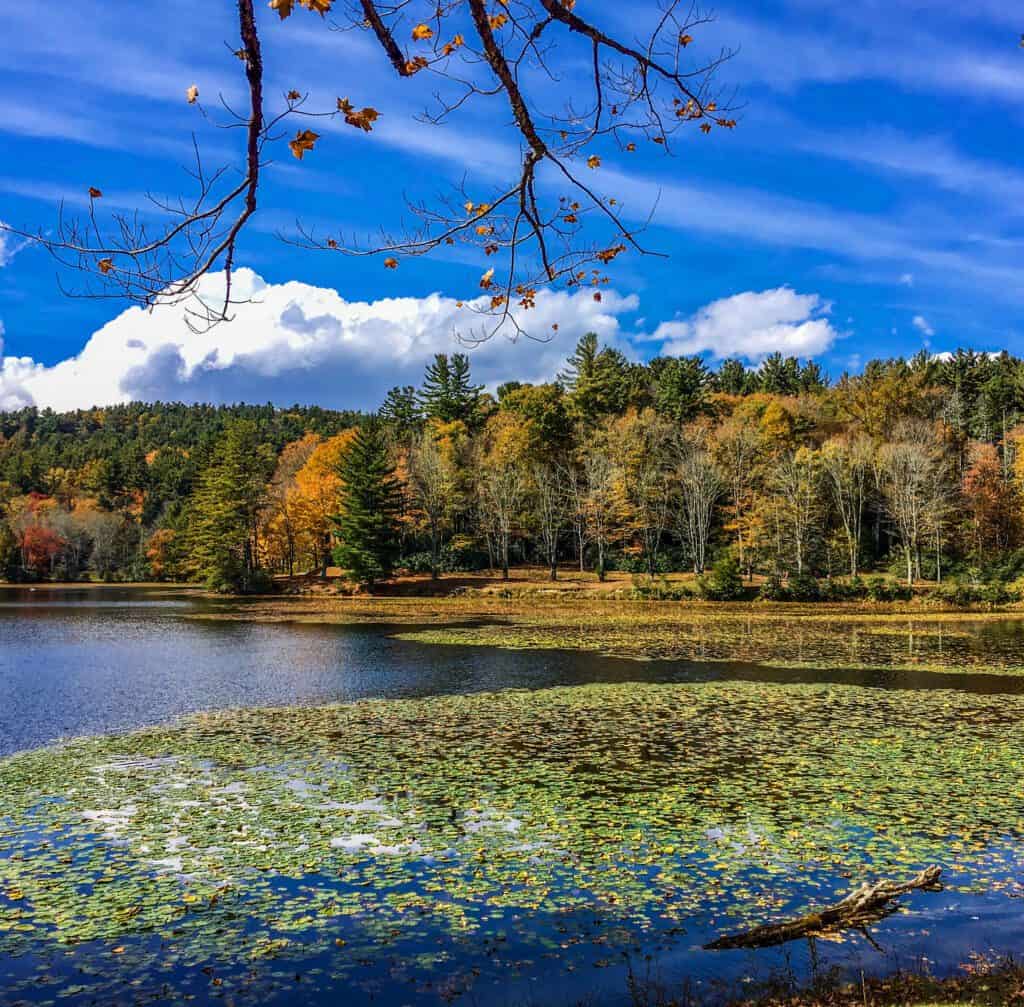 Cone Lake in the Fall - Photo by Lisa Soots