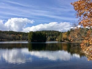 Take a hike around Bass Lake when exploring Moses H Cone Memorial Park