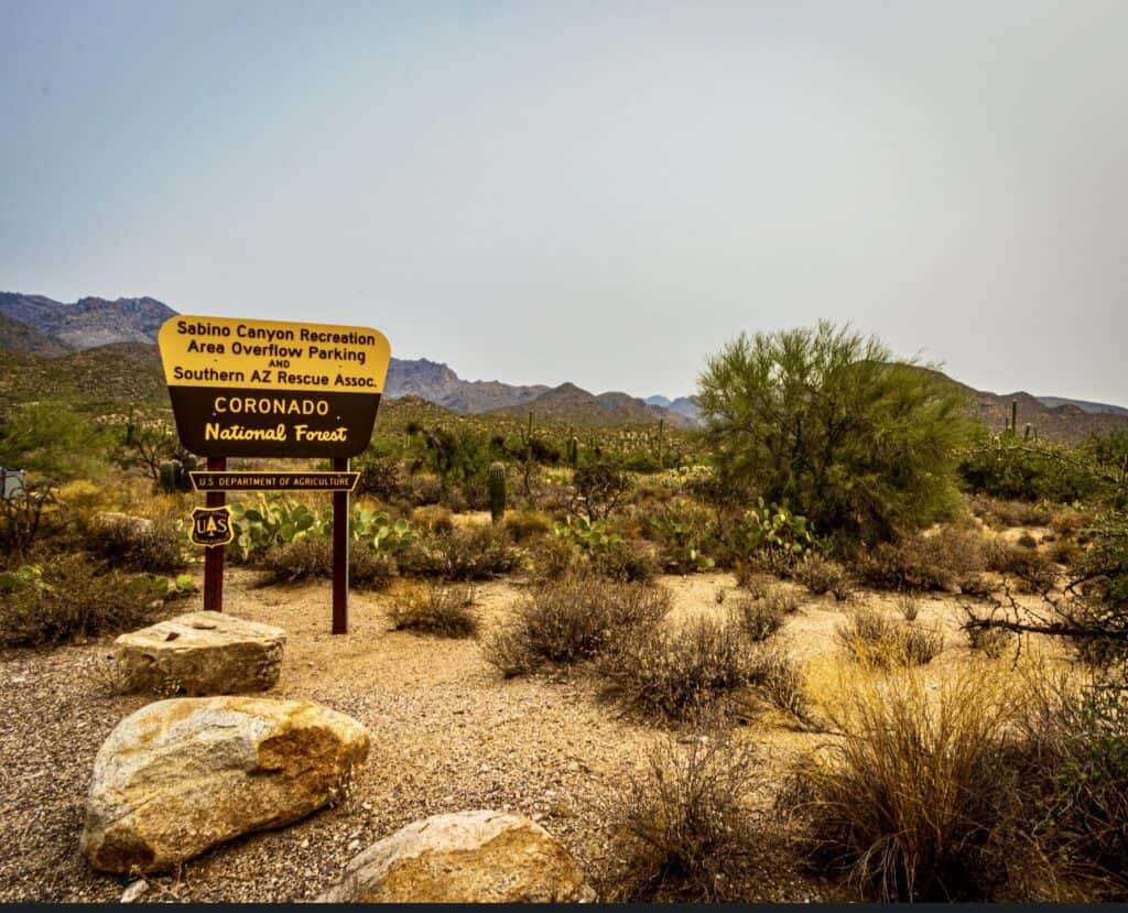 Sabino Canyon Recreation Area is a great area for hiking in Tucson - photo by Lisa Soots
