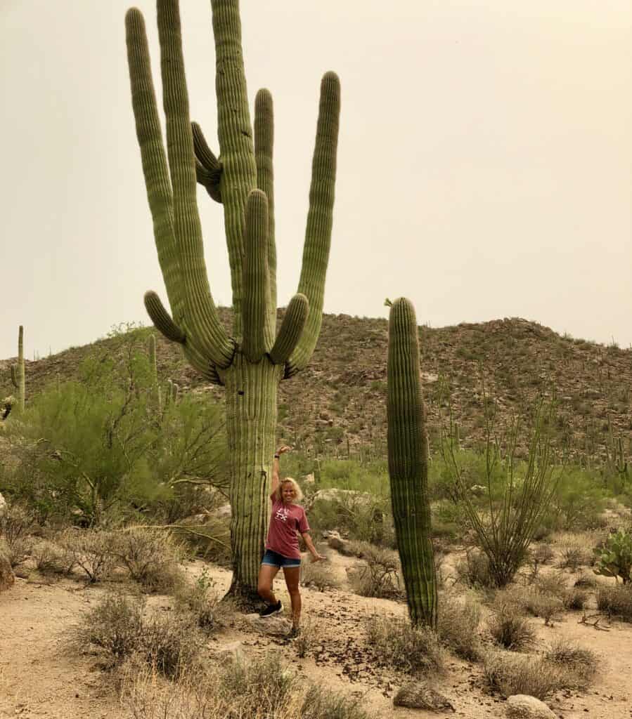 Hiking in Tucson at Saguaro National Park
