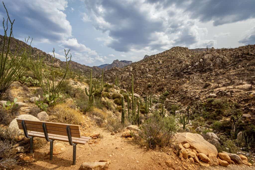 Catalina Park was an absolutely beautiful place for hiking in Tucson - photo by Lisa Soots