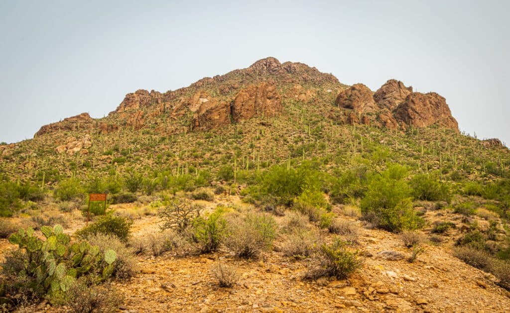 Tucson Mountain Park features 60 plus miles of hiking in Tucson, Arizona - photo by Lisa Soots