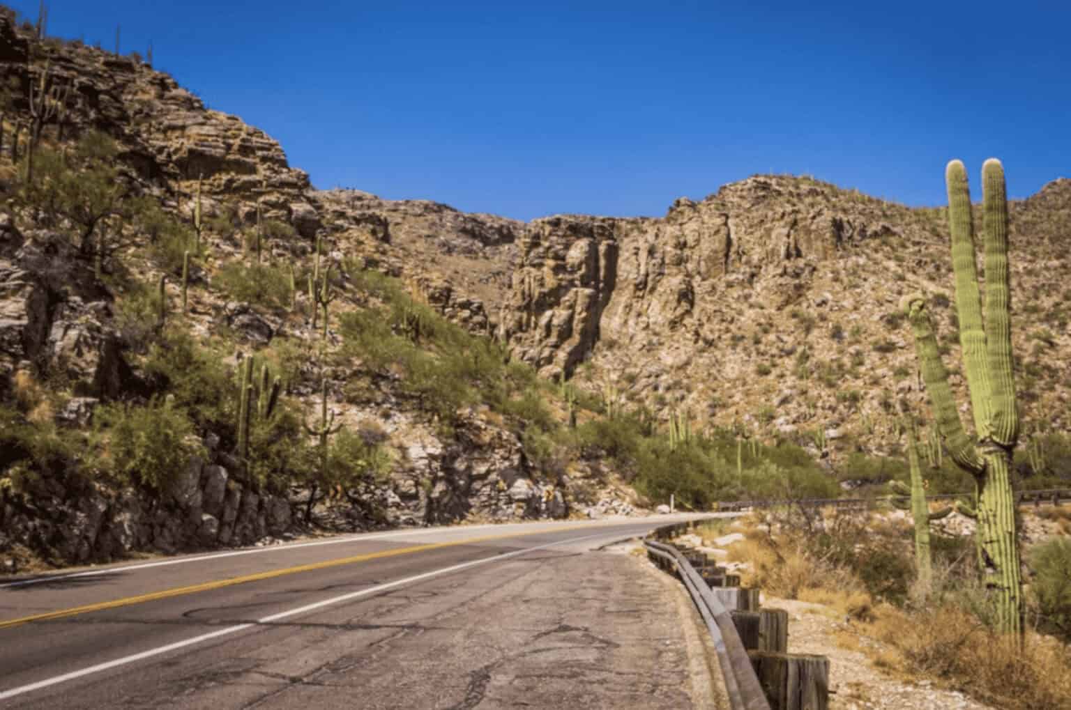 Mount Lemmon offers all kinds of activities and hiking in Tucson - photo by Lisa Soots