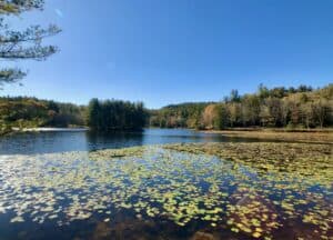 Exploring Moses H Cone at Bass Lake
