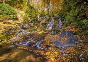 Waterfalls Park - Photo by Lisa Soots