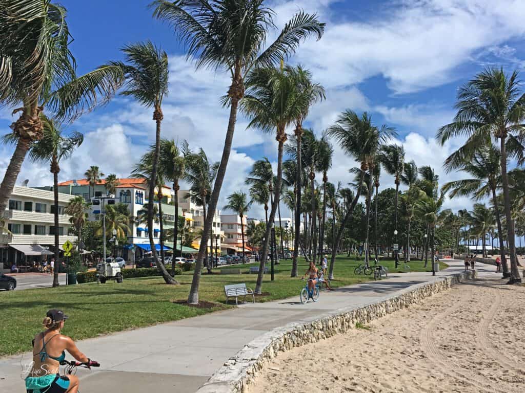 Lummus Park Miami Beach - photo by Lisa Soots