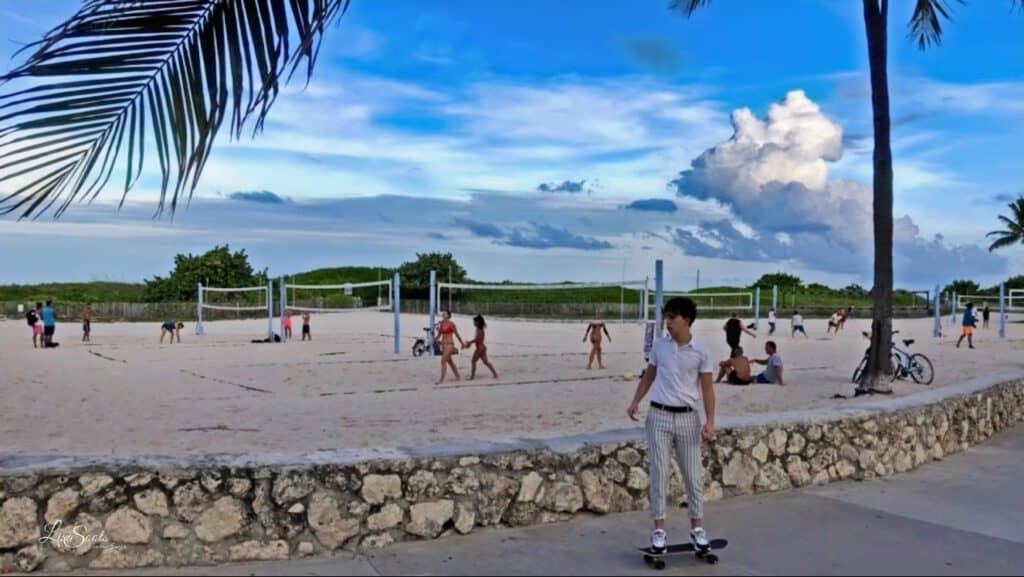 Lummus Park Miami Beach - photo by Lisa Soots