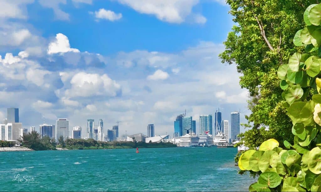 South Pointe Park - photo by Lisa Soots