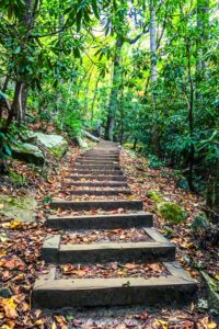 Stone Mountain State Park NC - Camping, Hiking, & More
