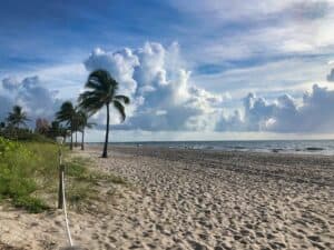 Hugh Taylor Birch State Park Beach - Fort Lauderdale Beach