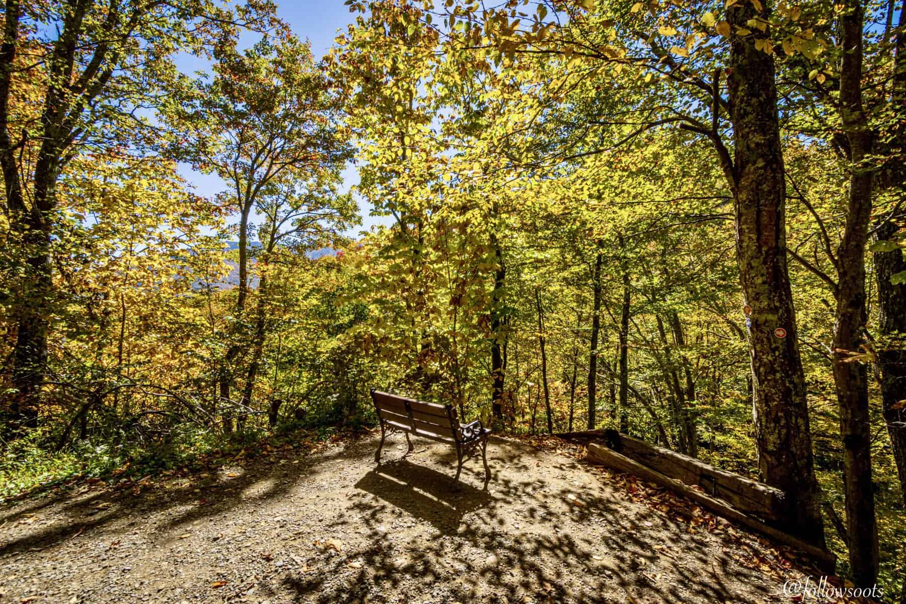 Fall Colors to Warm Your Heart - Fall Photography