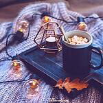 Cozy Fall Ideas for Your Home