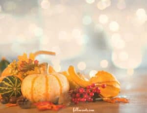 Cozy Fall Decor Ideas