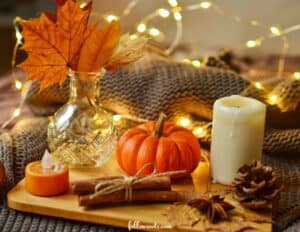 Cozy and Magical