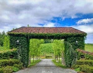 Activities Around North Wilkesboro - Roaring River Vineyards - Photo by Lisa Soots
