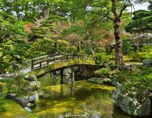 Visiting Kyoto Imperial Palace- This image features the beautiful pond with a wooden bridge crossing over and lush green trees and stones all around. 