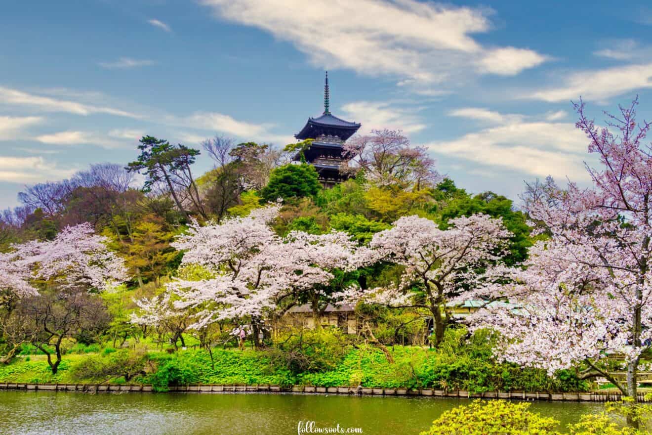 Best Photo Spots in Yokohama. - Followsoots.com