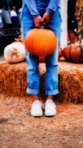 Pumpkin Phone Wallpapers