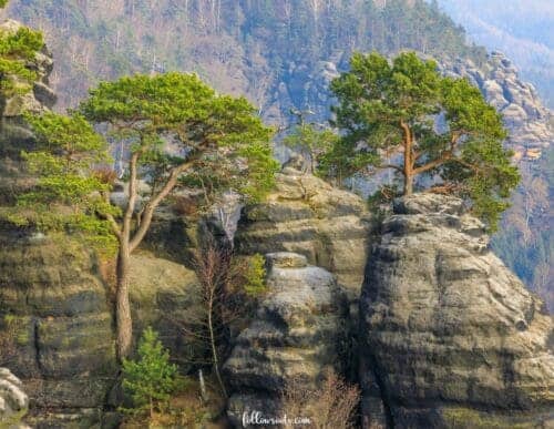 Pretty Places in Germany - Saxon Switzerland National Park,