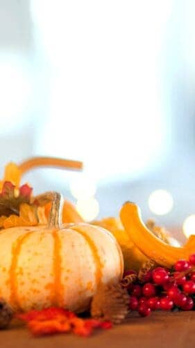 Free Thanksgiving Wallpapers