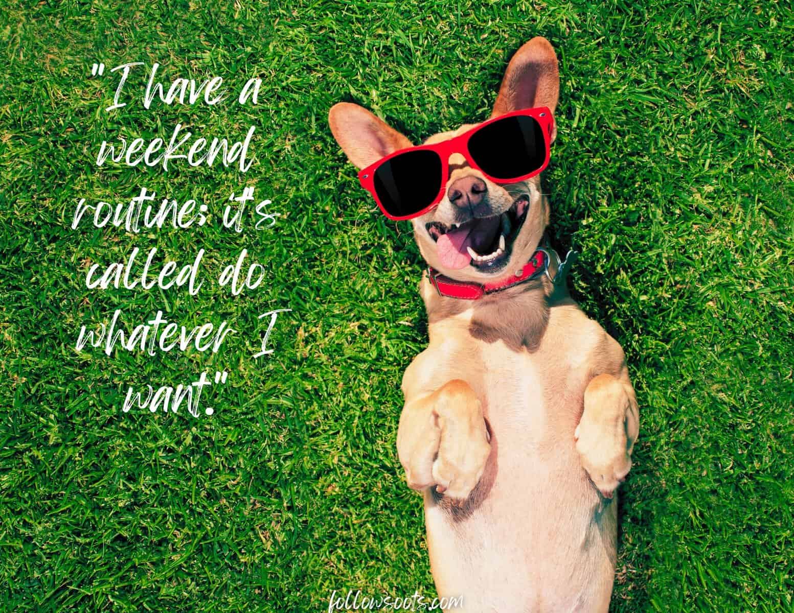 Funny Weekend Quotes - Graphic created by Lisa Soots - this images features a small dog wearing red sunglasses laying on his back in the grass and smiling with his tongue hanging out of his mouth. 
