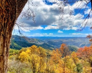This image features a beautiful view of Fall foliage along the Blue Ridge Parkway in North Carolina - Photo by Lisa Soots