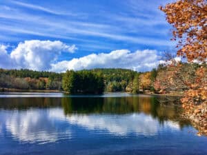 Still water and autumn trees reflected along the Blue Ridge Parkway - Photo by Lisa Soots