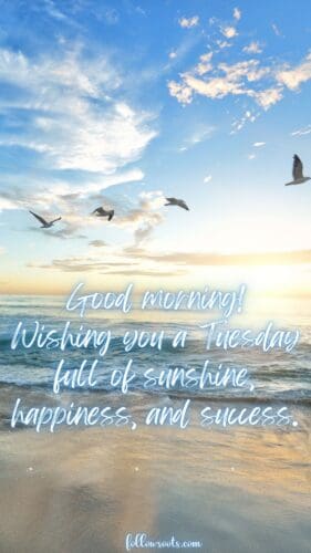 Image Created by Lisa Soots