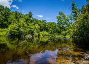 This image features a view of Sims Lake with a ripple in the water. Sims Lake is located on the Blue Ridge Parkway in North Carolina. Photo by Lisa Soots