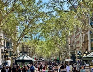 This image is a wide angle street view photo of La Rambla in Barcelona, Spain. The image showcaes people walking on the street under a canapoy of gree trees. 