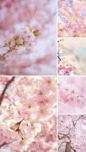 Pink Aesthetic Wallpapers 