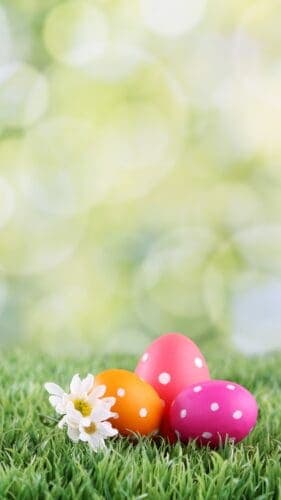 This image features colorful polka dotted Easter eggs on green grass with a yellow and green muted background with a bokeh effect.
