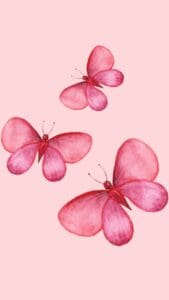 This image is of dark pink butterflies on a light pink background.