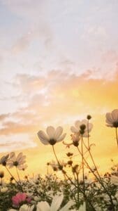 Spring Aesthetic Wallpapers 