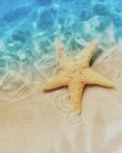 This painted image is of a beige starfish laying on the beach halfway on the sand and half in the crystal blue water.