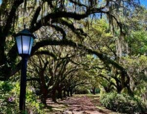 Pretty Places in Charleston - Charles Towne Landing