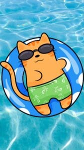 This image features a cartoon cat wearing sunglasses floating on a blue round float in the pool