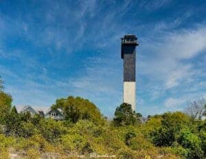 This image features the Sullivan's Island Lighthouse, which is tall with a square sided base and with a rounded Top. The base is black on the upper half and white on the lower. It is surrounded by trees, seagrapes and wildflowers below.