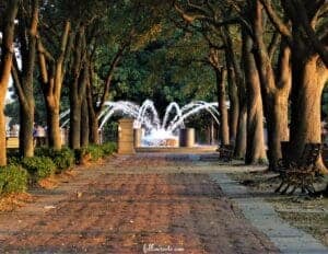 White Point Garden oak trees in Charleston