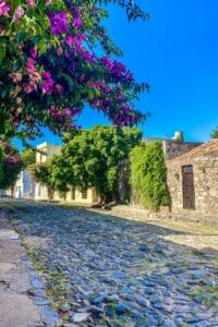 This image features a lovely cobblestone street in Colonia del Sacramento, Uruguay. This is an original photograph by Lisa Soots. 