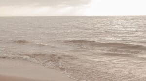 This neutral beige image features soft waves on the seashore. 