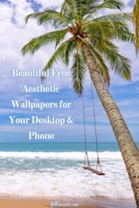 This Pinterest Pin image features a large palm tree with a swing on the beach overlooking the ocean