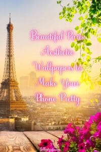 This image is a Pinterest Pin titled, Pretty Paris Aesthetic Wallpapers to Make Your Phone Pretty. The image in the background showcases the Eiffel Tower on the left hand side with the sun going down on the right and bright pink flowers in the foreground.