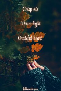 This image features a woman's hands holding an autumn leaf next to a pine tree. There is a quote on the image that reads, "Crisp Air, Warm Light, Grateful Heart."