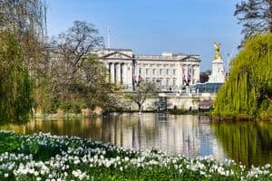A tranquil scene of Buckingham Palace with blooming flowers in St. James's Park.